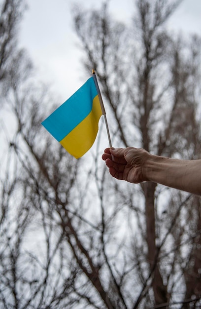 La main d'un homme tient le drapeau ukrainien sur un bâton sur fond de ciel gris et de branches d'arbres