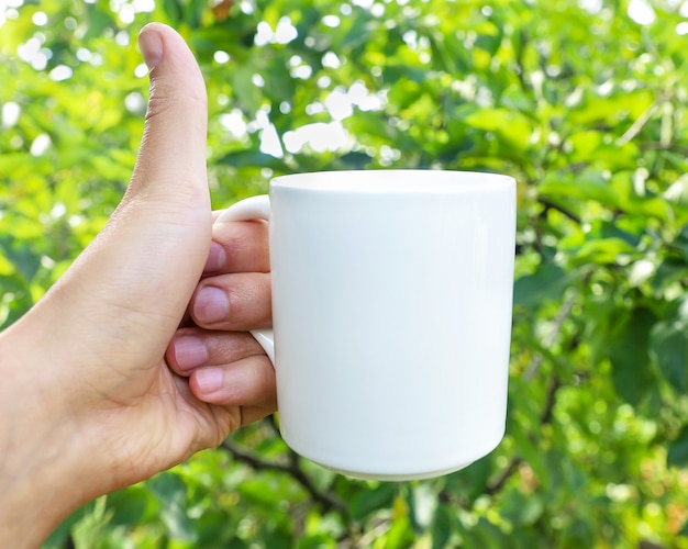 La main de l'homme tient une maquette de tasse et montre un gros plan de classe sur fond de nature