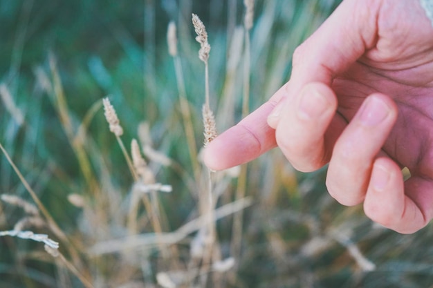 Photo la main d'un homme touchant une épingle fragile