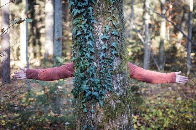 Photo la main humaine sur le tronc d'un arbre dans la forêt