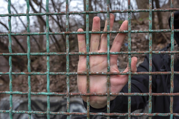 Main masculine derrière les barreaux bouchent la prison de liberté de captivité un prisonnier désespéré en prison