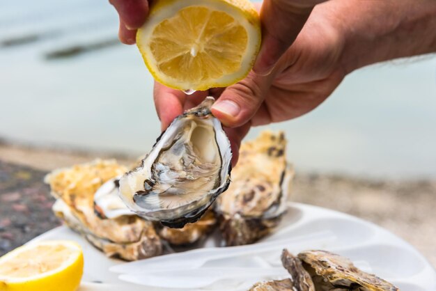 Main masculine tenant des huîtres sur une plaque en plastique près de la mer