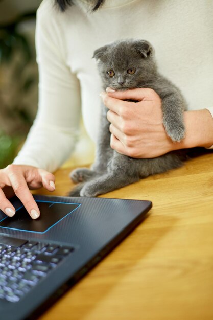Main méconnaissable Femme recherchant un site Web vétérinaire sur un ordinateur portable pour enregistrer un chaton chat