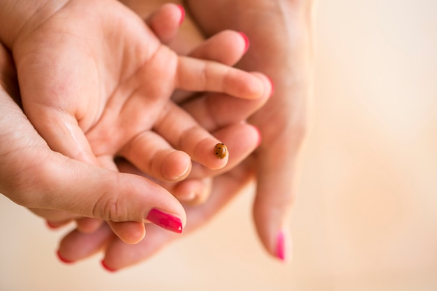 La main des mères en coupe la main de son enfant sur laquelle la coccinelle est assise