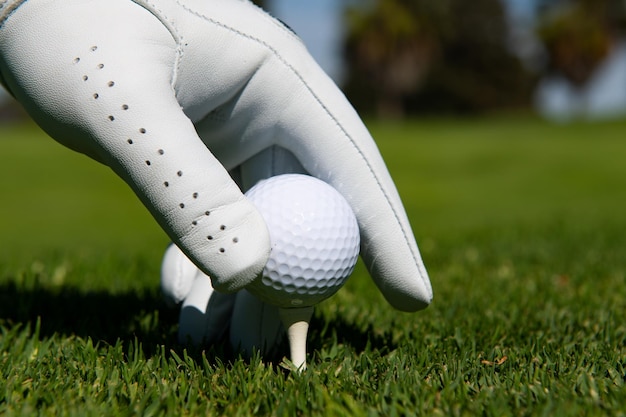 Main mettant une balle de golf sur un tee dans un parcours de golf Balle de golf dans l'herbe Balle de golf sur un tee prêt à être tiré