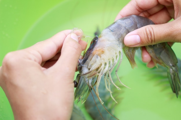 Photo main de nettoyage des crevettes pour roucouler à la maison