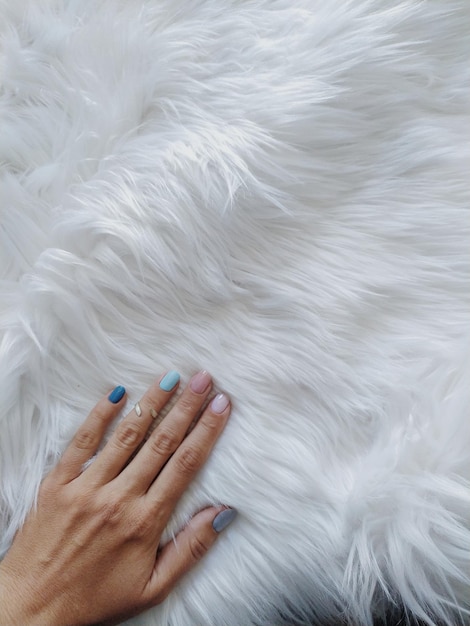 Main avec des ongles de différentes couleurs sur fond blanc avec une place pour le texte