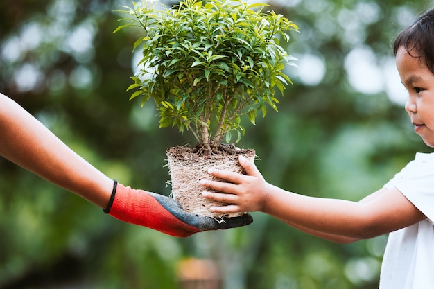 Photo main de parent portant le gant donnant un jeune arbre à un enfant pour planter ensemble