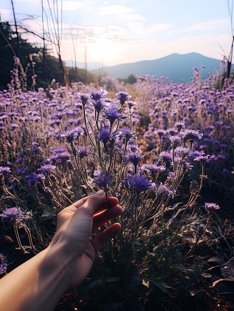 Photo une main de personne tient une fleur dans un champ