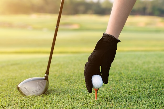 Main plaçant un tee avec une balle de golf. Main tenir la balle de golf avec tee sur le parcours, gros plan