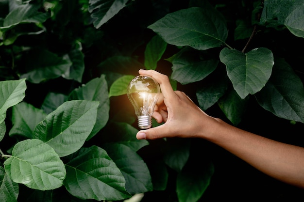 Main tenant l'ampoule, l'énergie naturelle et l'amour du concept du monde.