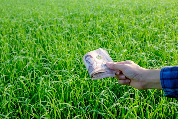 Une main tenant de l'argent dans l'herbe à l'extérieur