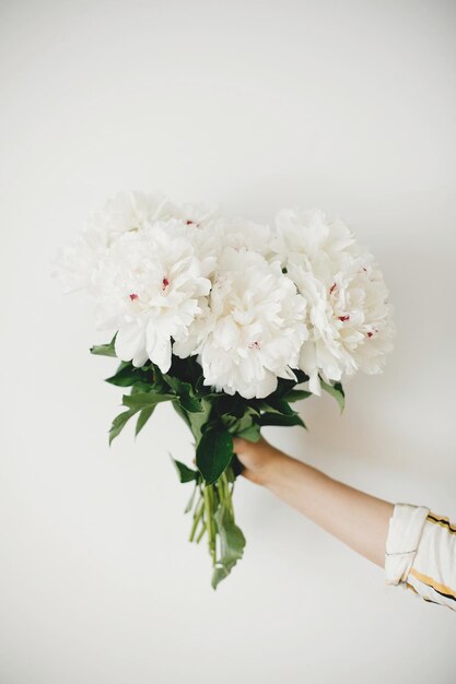 Main tenant le bouquet de pivoines sur fond de mur blanc Pivoines blanches élégantes dans la main du fleuriste Bonjour fond d'écran de printemps Bonne fête des mères Arrangement de mariage