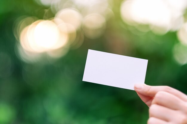 Une main tenant une carte de visite vierge blanche avec fond de nature verte