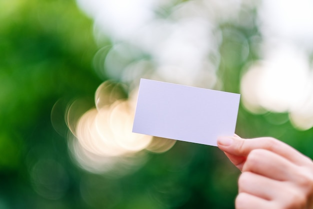 Une main tenant une carte de visite vierge blanche avec fond de nature verte