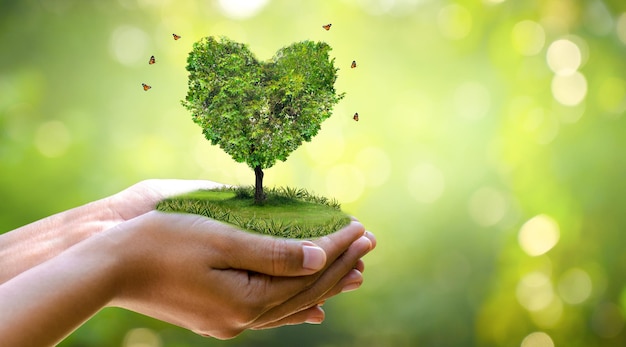 Main Tenant Un Coeur Arbre Environnement Jour De La Terre