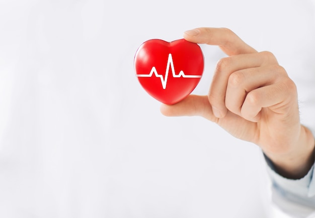 Une main tenant un coeur rouge avec la ligne ecg.