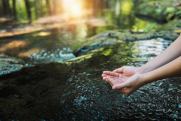 Main tenant de l'eau douce dans l'étang avec du soleil