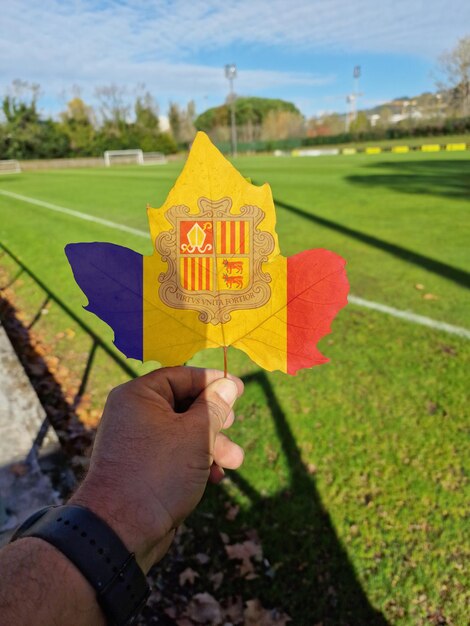 Main tenant une feuille d'arbre avec le drapeau d'andorre