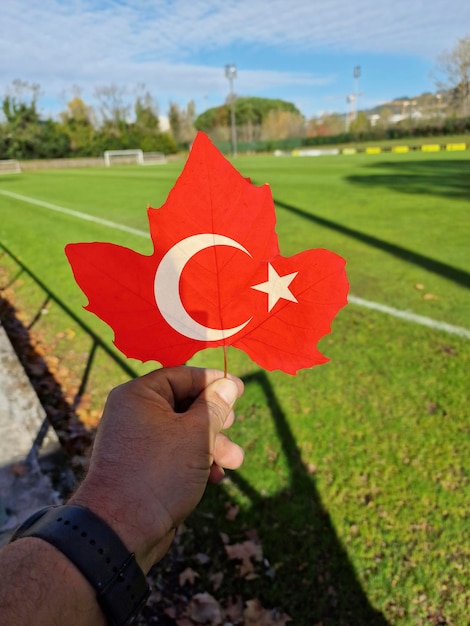 Photo main tenant une feuille d'arbre avec le drapeau de la turquie