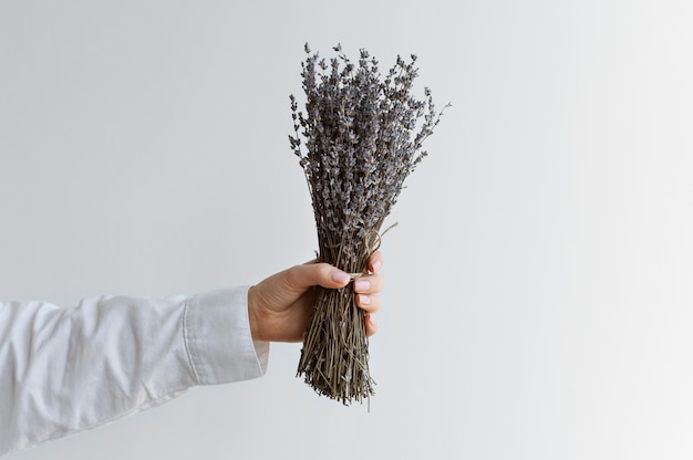 La main tenant une fleur élégante