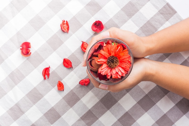 Main tenant une fleur rouge.