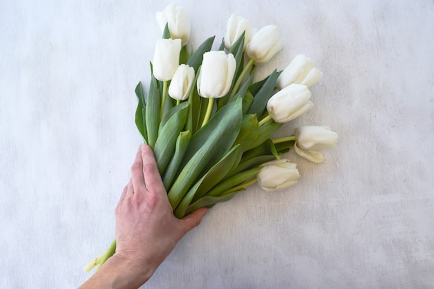 Main tenant des fleurs de tulipes blanches sur fond de bois blanc. Copiez l'espace.