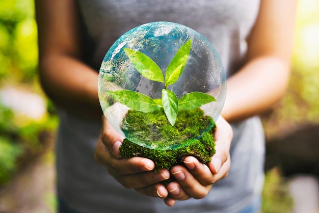 Main tenant un globe avec une jeune plante qui pousse et du soleil dans le concept de la nature sauver la terreÉléments de cette image meublés NASA