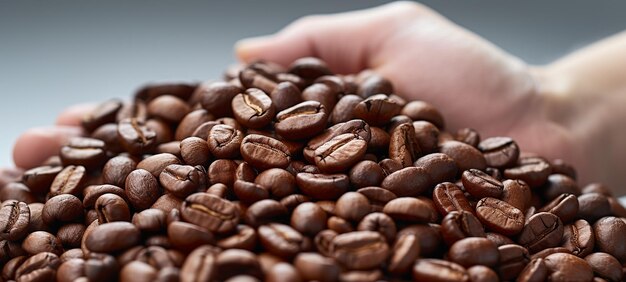 Main tenant des grains de café gros plan de grains de café frais pour préparer du café Ai générative