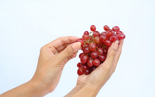 Main tenant grappe de raisin rouge et cueillette sur fond blanc.