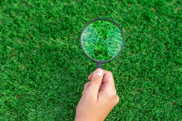 Main tenant une loupe sur gazon artificiel Image agrandie des feuilles vertes d'une herbe