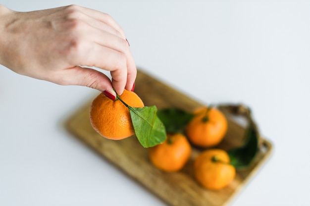 Main tenant la mandarine avec une branche sur fond blanc.