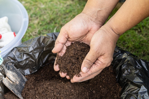 Main tenant la matière organique de mousse de tourbe améliorer le sol pour l'agriculture concept d'écologie de culture de plantes biologiques