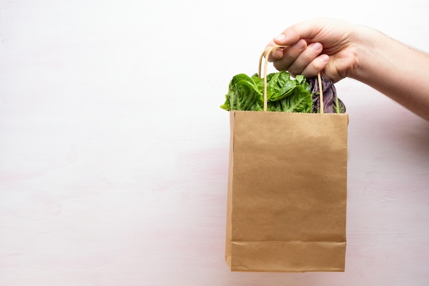 Main tenant un mélange de salade fraîche dans un emballage écologique