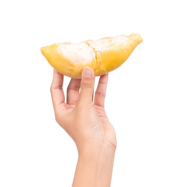 main tenant une partie de Durian Fruits isolé sur fond blanc.