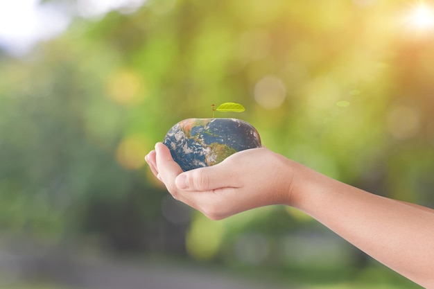 Main tenant la pomme du globe, la terre sur fond vert bokeh. Éléments de cette image fournis par la NASA