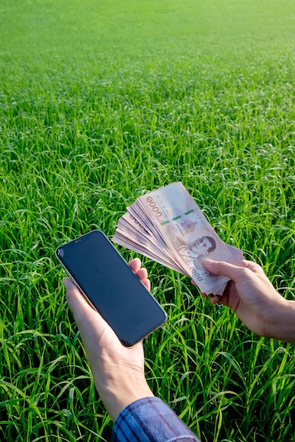 Une main tenant un smartphone sur l'herbe dans un parc avec un billet d'argent entouré de nature et de technologie