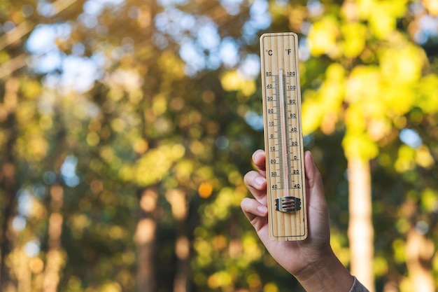 Une main tenant un thermomètre sur fond de nature floue