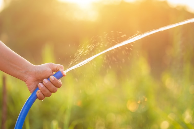 Main tenant un tuyau d&#39;eau et arrosage à la plante dans le jardin extérieur