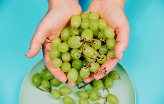 La main tient des raisins de table sur fond bleu