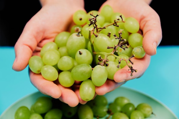 La main tient des raisins de table sur fond bleu