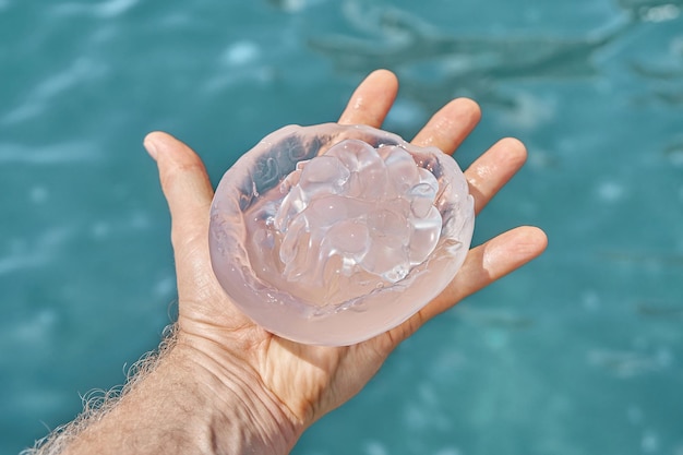 Main touristique tenant des méduses transparentes contre l'eau de mer azur