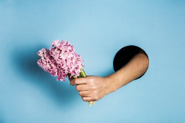 Une main d'un trou dans le mur de papier tient une fleur de jacinthe sur un fond bleu.