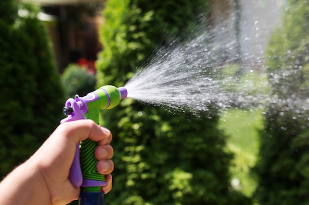 Main avec tuyau d'arrosage arroser les plantes dans le jardin.