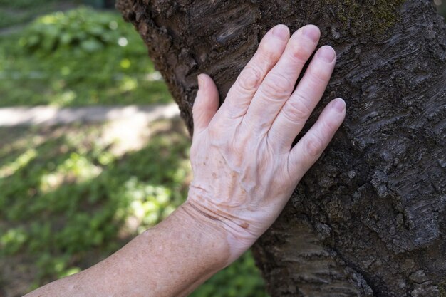 main de vieille femme avec des taches de vitiligo sur bois. L'amour de la nature