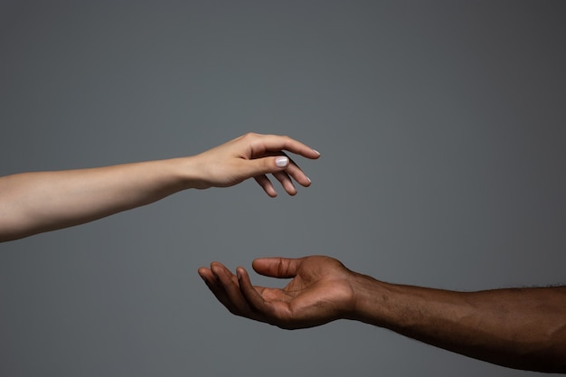 Photo mains africaines et caucasiennes gesticulant sur fond gris studio