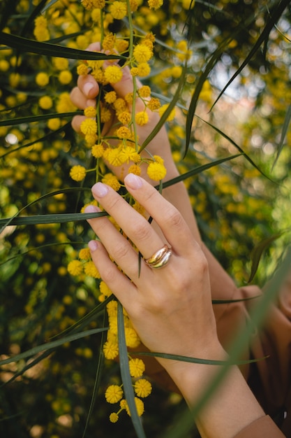 Mains avec un anneau tenant un mimosa en fleurs jaunes au printemps se bouchent