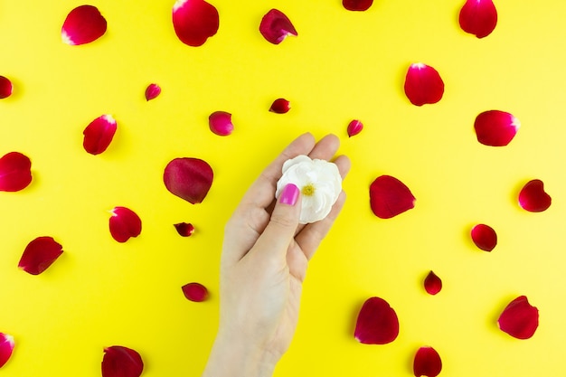 Photo mains de beauté avec des fleurs de maquillage