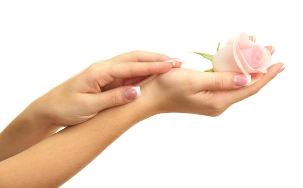 Mains de belle femme avec rose isolé sur blanc