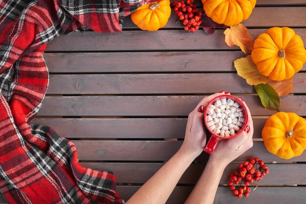 Les mains d'une belle femme tenant une tasse rouge avec du cacao et des guimauves.